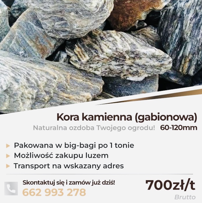 Solidne kamienie ogrodowe w atrakcyjnej cenie. Sprawdź!